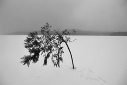 JZ_IceHarvest_2012__0032_DSC_0682_thumb